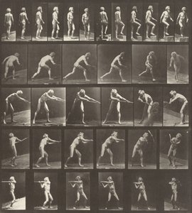 Číslo desky 521. A: Chůze. B: Vzestup o krok. C: Vyhození disku. D: Pomocí lopaty..., 1887. od Eadweard Muybridge