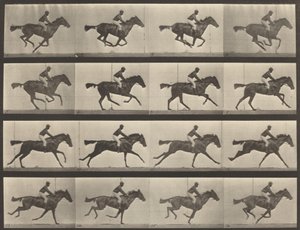 Číslo desky 626. Cval, plnokrevná klisna hnědáka, Annie G., 1887. od Eadweard Muybridge