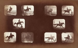 Pohyb zvířat (muž na koni přes překážky) od Eadweard Muybridge