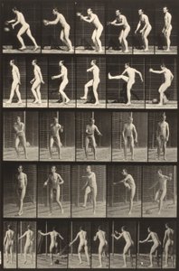 Pohyb zvířat (deska 300) (Muž kopající do míče) od Eadweard Muybridge