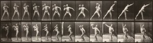 Pohyb zvířat (deska 319) (Muž házející míč) od Eadweard Muybridge