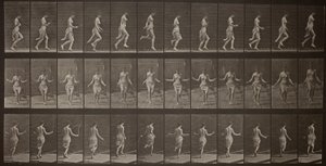 Pohyb zvířat, deska 174 od Eadweard Muybridge