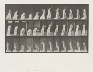 Pohyb zvířat, talíř 305 od Eadweard Muybridge