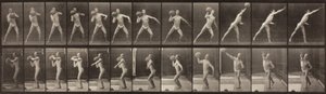 Animal Locomotion, Talíř 319, 1887 od Eadweard Muybridge