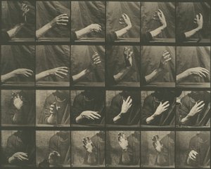Pohyb zvířat, deska 535 od Eadweard Muybridge
