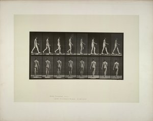 Pohyb zvířat: látka pánve mužů, 1887. od Eadweard Muybridge