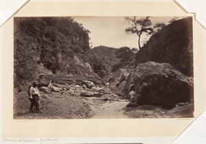 Barranca of Ynsiensi, Guatemala od Eadweard Muybridge