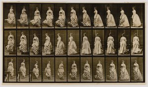 Sestupování ze schodů a otáčení, z knihy Pohyb zvířat od Eadweard Muybridge