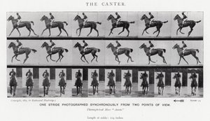 Eadweard Muybridge: The Canter (černobílá fotografie) od Eadweard Muybridge