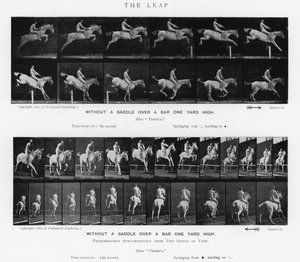 Eadweard Muybridge: The Leap (černobílá fotografie) od Eadweard Muybridge
