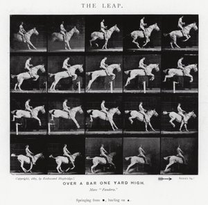 Eadweard Muybridge: The Leap (černobílá fotografie) od Eadweard Muybridge