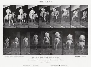 Eadweard Muybridge: The Leap (černobílá fotografie) od Eadweard Muybridge