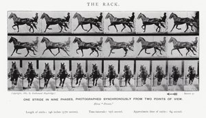 Eadweard Muybridge: The Rack (černobílá fotografie) od Eadweard Muybridge