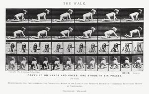 Eadweard Muybridge: The Walk (černobílá fotografie) od Eadweard Muybridge