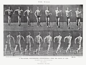 Eadweard Muybridge: The Walk (černobílá fotografie) od Eadweard Muybridge