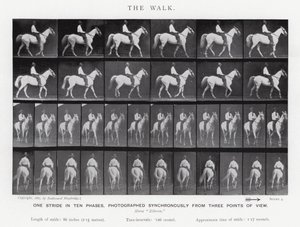 Eadweard Muybridge: The Walk (černobílá fotografie) od Eadweard Muybridge