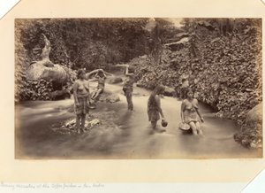 Večerní rekreace sběračů kávy, San Isidro, z pacifického pobřeží Střední Ameriky a Mexika; Panamský průliv; Guatemala; pěstování a přeprava kávy od Eadweard Muybridge
