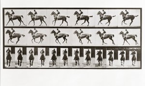 Kůň a jezdec, deska 621 od Animal Locomotion, 1887 od Eadweard Muybridge