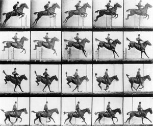 Man and Horse jumping, z 