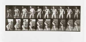 Muž zvedající činku, Plate 324 od Animal Locomotion, 1887 od Eadweard Muybridge
