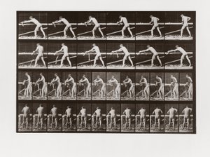 Muž hoblující dřevo, Deska 379 od Animal Locomotion, 1887 od Eadweard Muybridge
