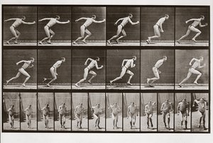 Muž běží, deska 59 z Animal Locomotion, 1887 od Eadweard Muybridge
