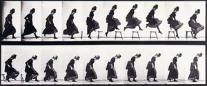 Pohybová studie, cca 1872-1885 od Eadweard Muybridge
