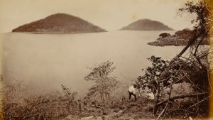 Perico a Flamenco - z ostrova Naos, Panama od Eadweard Muybridge