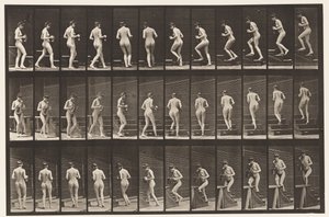 Talíř 103. Otáčivé a stoupající schody, džbán a pohár v rukou, 1872-1885 od Eadweard Muybridge