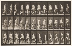 Talíř 104. Otáčivé a stoupající schody, vědro vody v každé ruce, 1872-1885 od Eadweard Muybridge