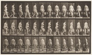 Talíř 106. Turning to Ascend Stairs, vědro vody v každé ruce, 1872-1885 od Eadweard Muybridge