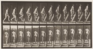 Deska 109. Stoupající žebřík, 1872-1885 od Eadweard Muybridge
