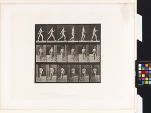 Talíř 10.Chůze od Eadweard Muybridge