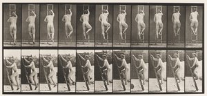 Deska 111. Vzestupný žebřík od Eadweard Muybridge