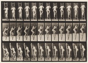 Deska 112. Vzestupný žebřík od Eadweard Muybridge