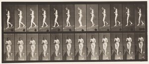 Talíř 115. Sestupný sklon s rukama sepjatýma vpředu od Eadweard Muybridge