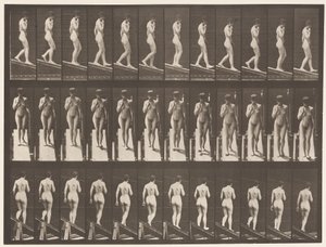 Talíř 116. Sestupný sklon, Jedna ruka Na bradě od Eadweard Muybridge