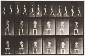 Talíř 118. Sestupný sklon od Eadweard Muybridge