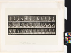 Talíř 11.Chůze od Eadweard Muybridge