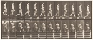 Talíř 120. Klesající sklon, vědro vody v pravé ruce, 1872-1885 od Eadweard Muybridge