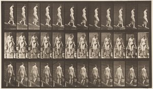 Talíř 121. Sestupný sklon, vědro vody v každé ruce od Eadweard Muybridge
