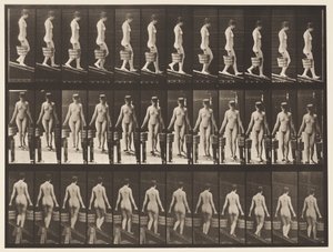Talíř 122. Klesající sklon, vědro vody v každé ruce, 1872-1885 od Eadweard Muybridge