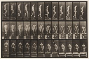 Talíř 125. Sestupné schody od Eadweard Muybridge