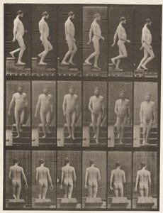 Deska 127. Sestupné schody, 1872-1885 od Eadweard Muybridge