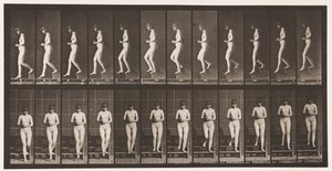 Talíř 128. Sestupné schody, ruce sepjaté, 1872-1885 od Eadweard Muybridge