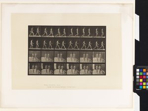 Talíř 12.Chůze od Eadweard Muybridge
