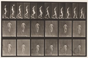 Talíř 130. Sestupné schody, ruce sepjaté, 1872-1885 od Eadweard Muybridge