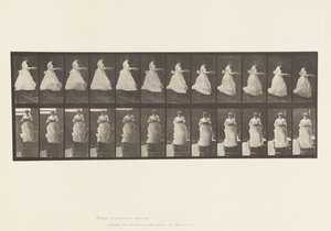 Deska 134. Sestupné schody, S umyvadlem v rukou od Eadweard Muybridge