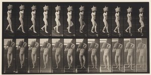 Talíř 136. Sestupné schody Plný demižon na rameni, 1872-1885 od Eadweard Muybridge