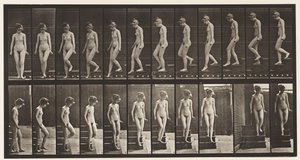 Talíř 137. Sestupné schody, otočka od Eadweard Muybridge